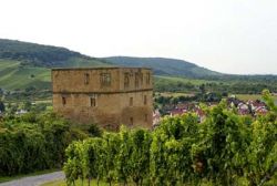 Y-Burg bei Stetten